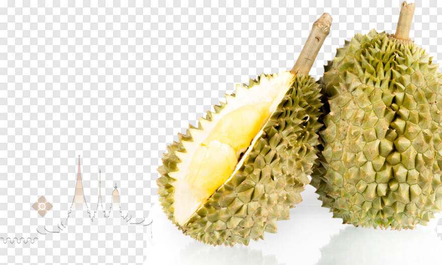 durian # 879091