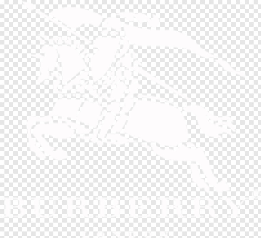 burberry-logo # 423090