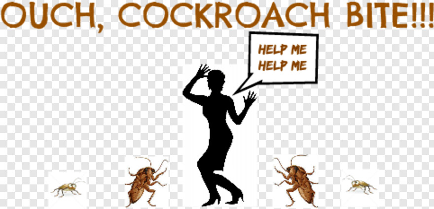 cockroach # 357150