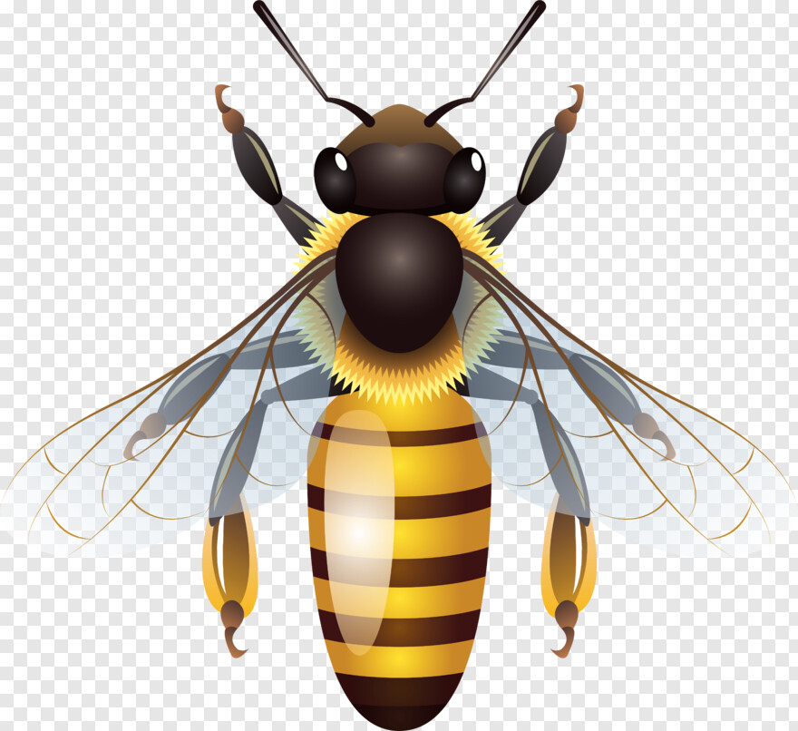 cute-bee # 470487