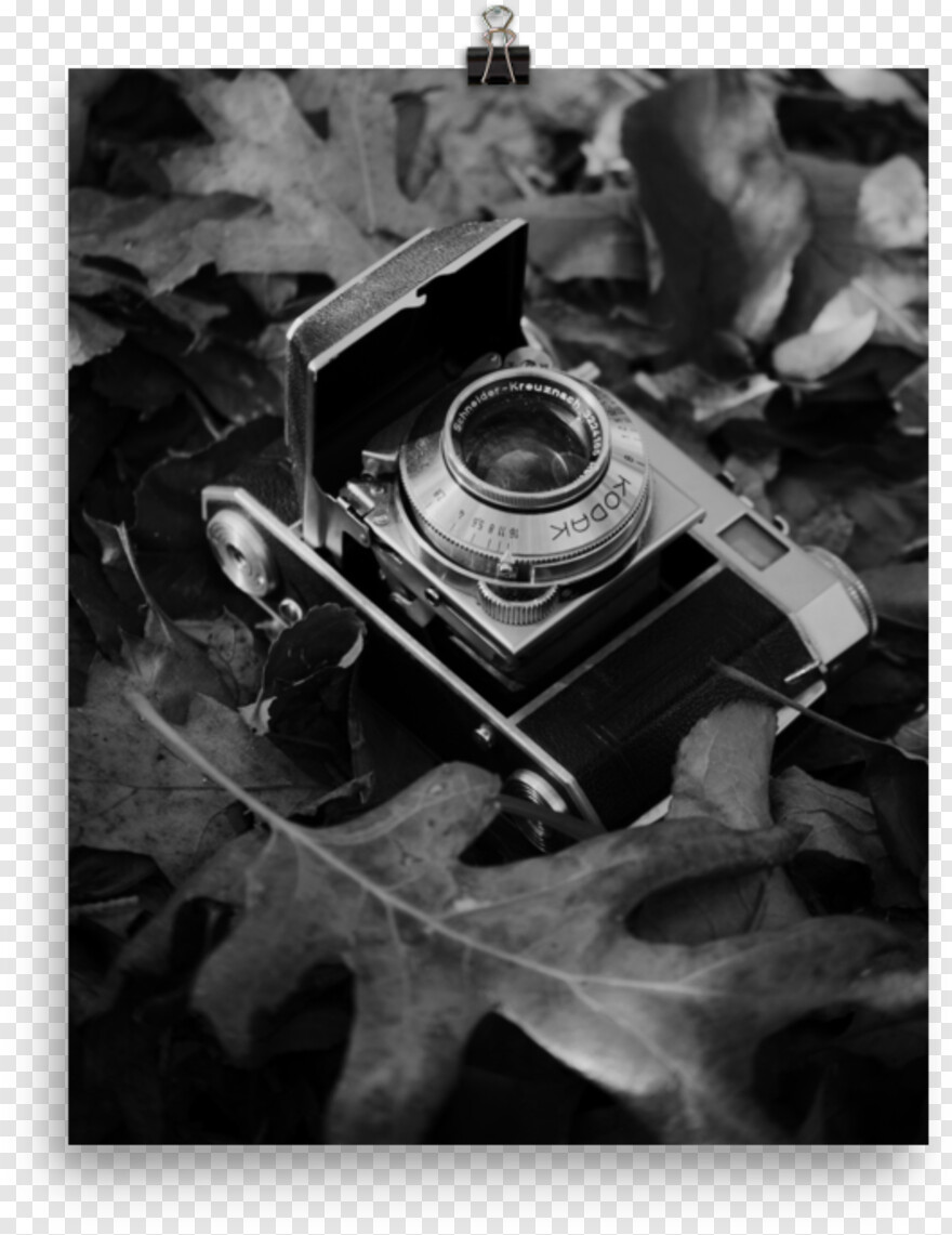 vintage-camera # 1080005
