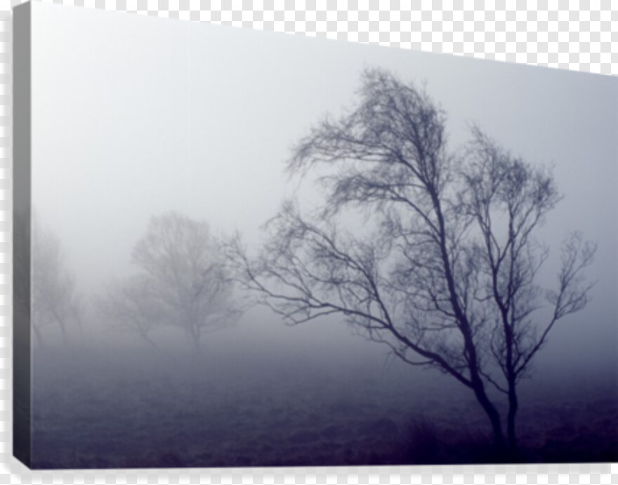 black-fog # 459923