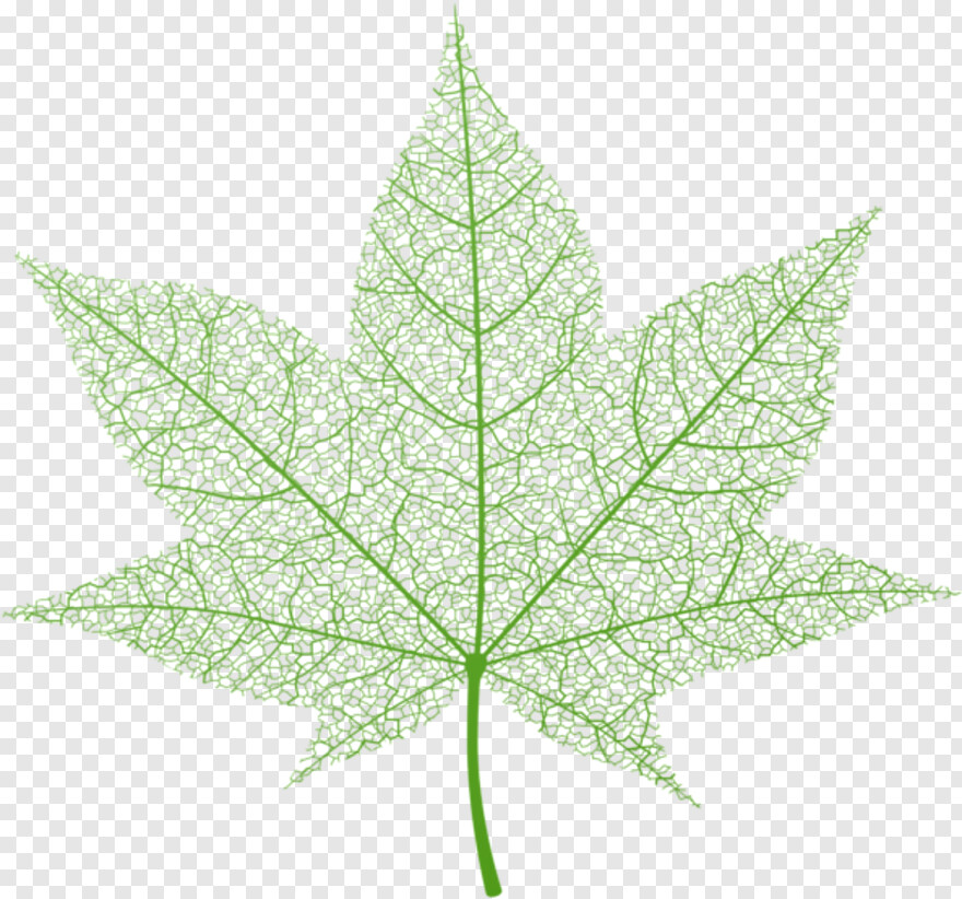 green-leaf-design # 442050