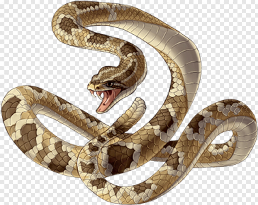 rattlesnake # 624888