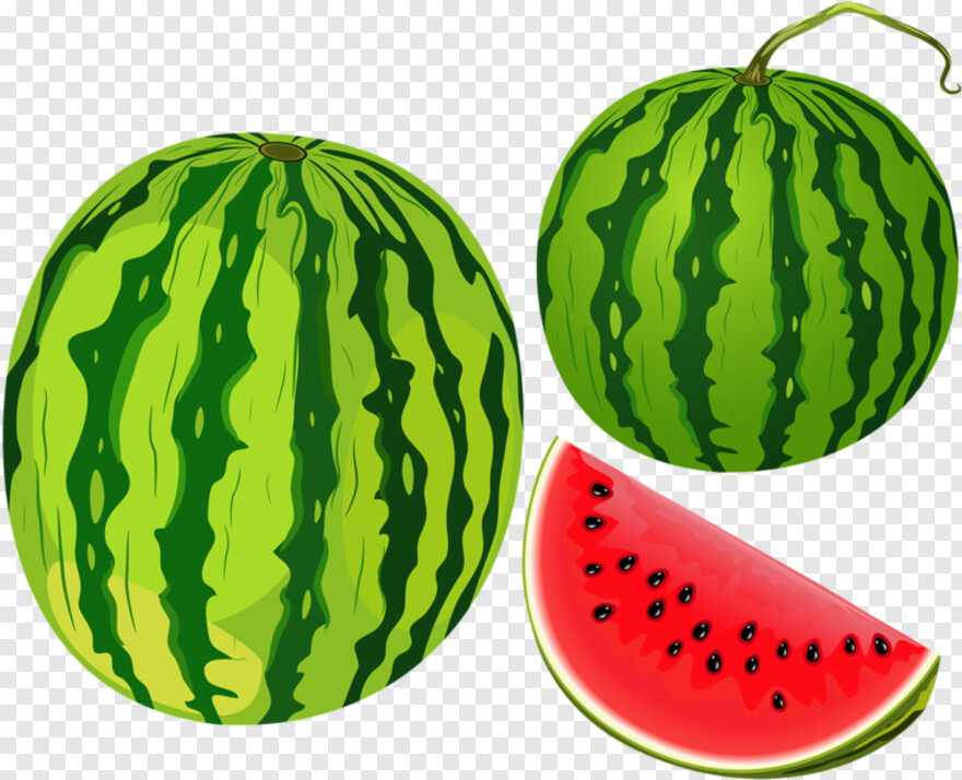 water-melon # 695597