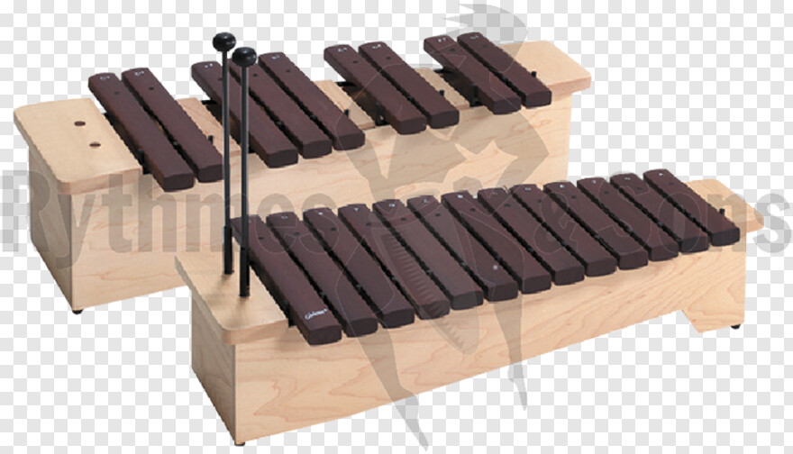 xylophone # 588156