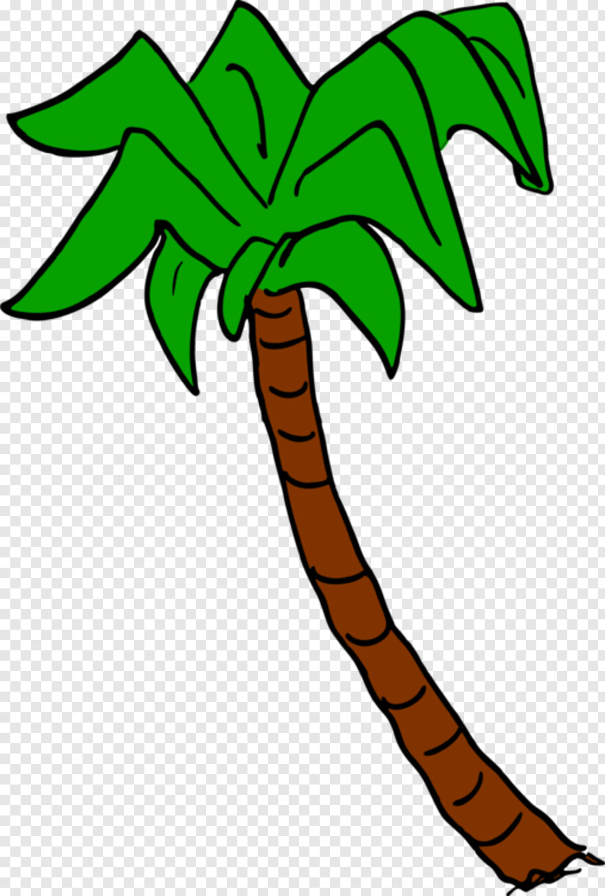 palm-leaf # 461306