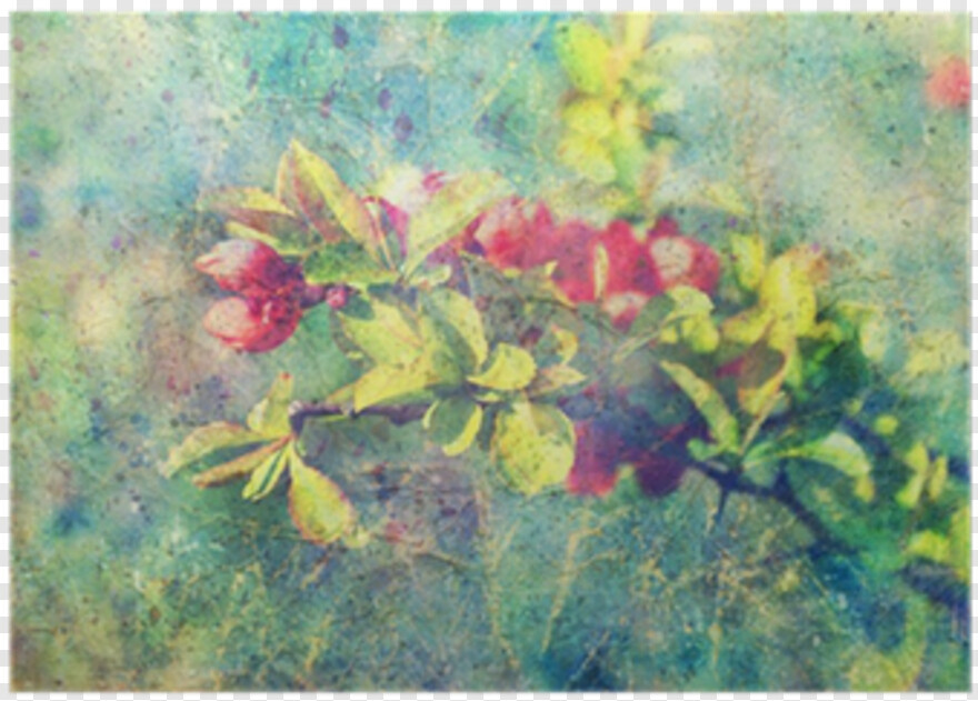 watercolor-flowers # 315162
