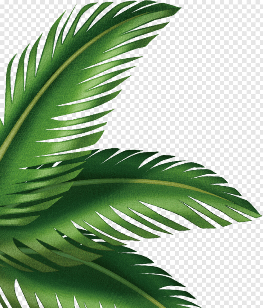 palm-tree-silhouette # 461613