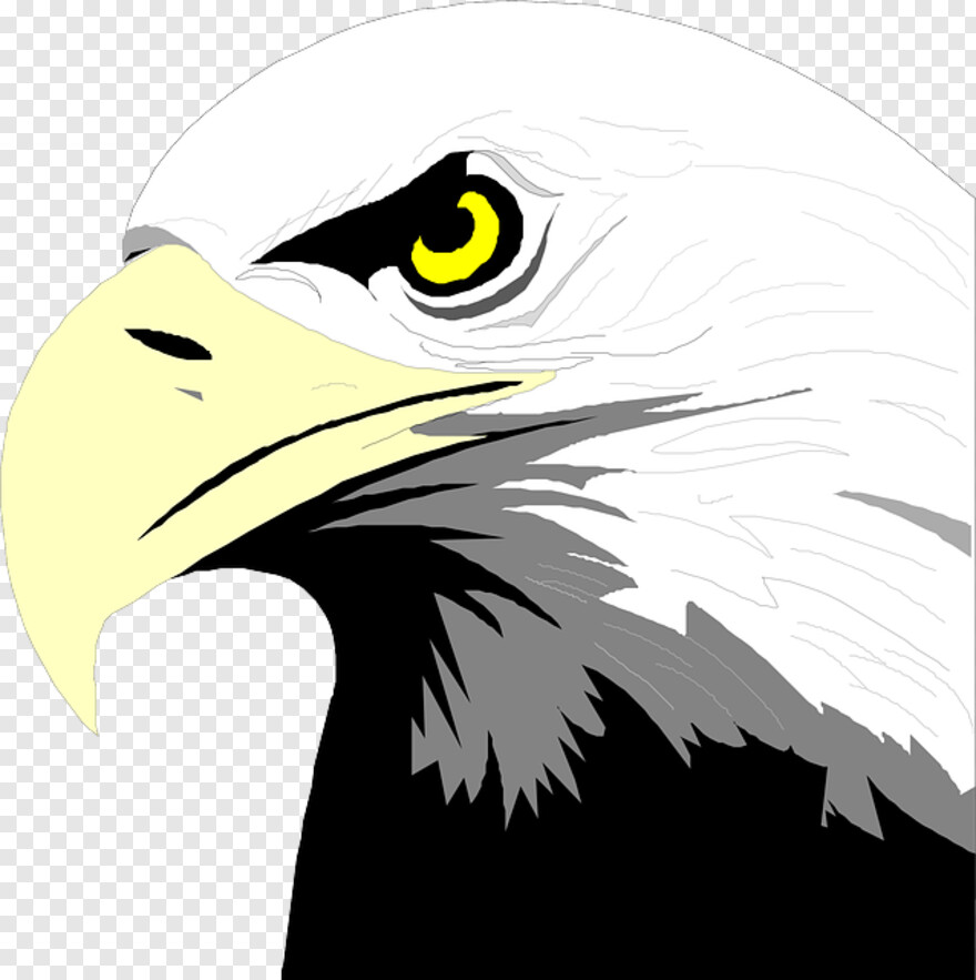 eagle-head # 473056