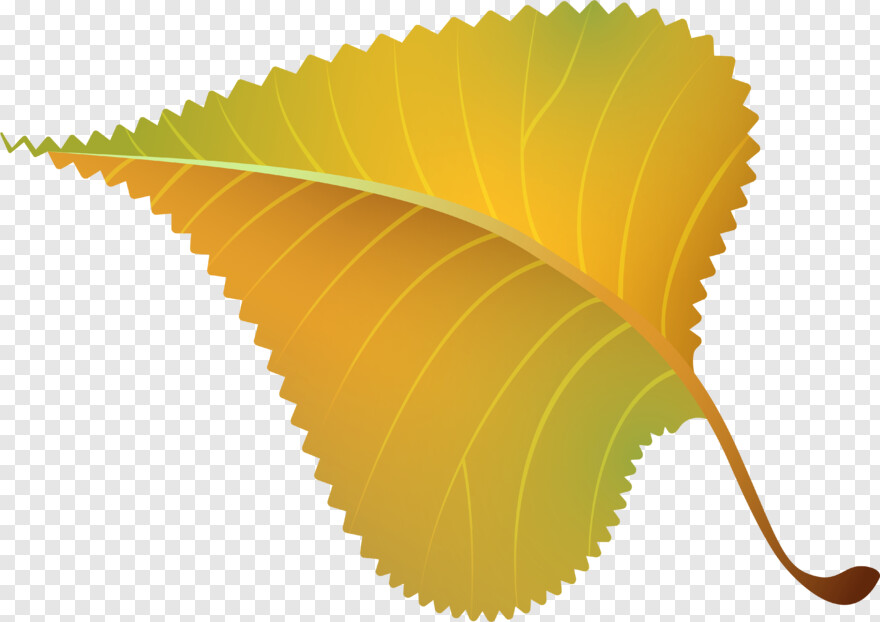 leaf-clipart # 874306