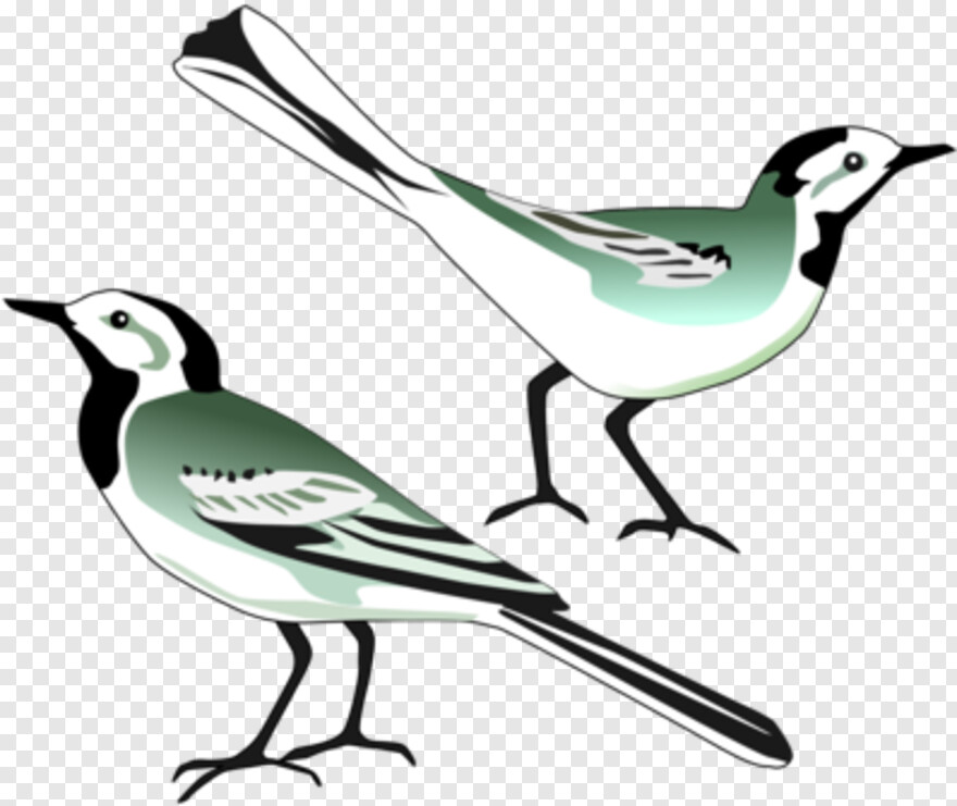 twitter-bird-logo # 359950