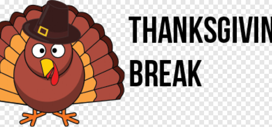 thanksgiving-turkey # 985447