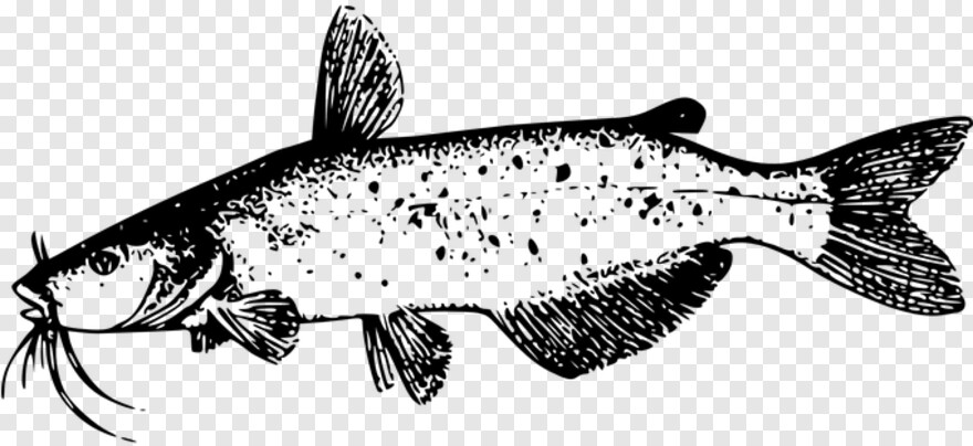 fish-logo # 1048380