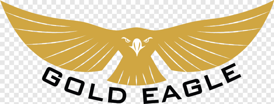  Eagle Silhouette, Bald Eagle, Eagle Globe And Anchor, American Flag Eagle, Eagle, American Eagle