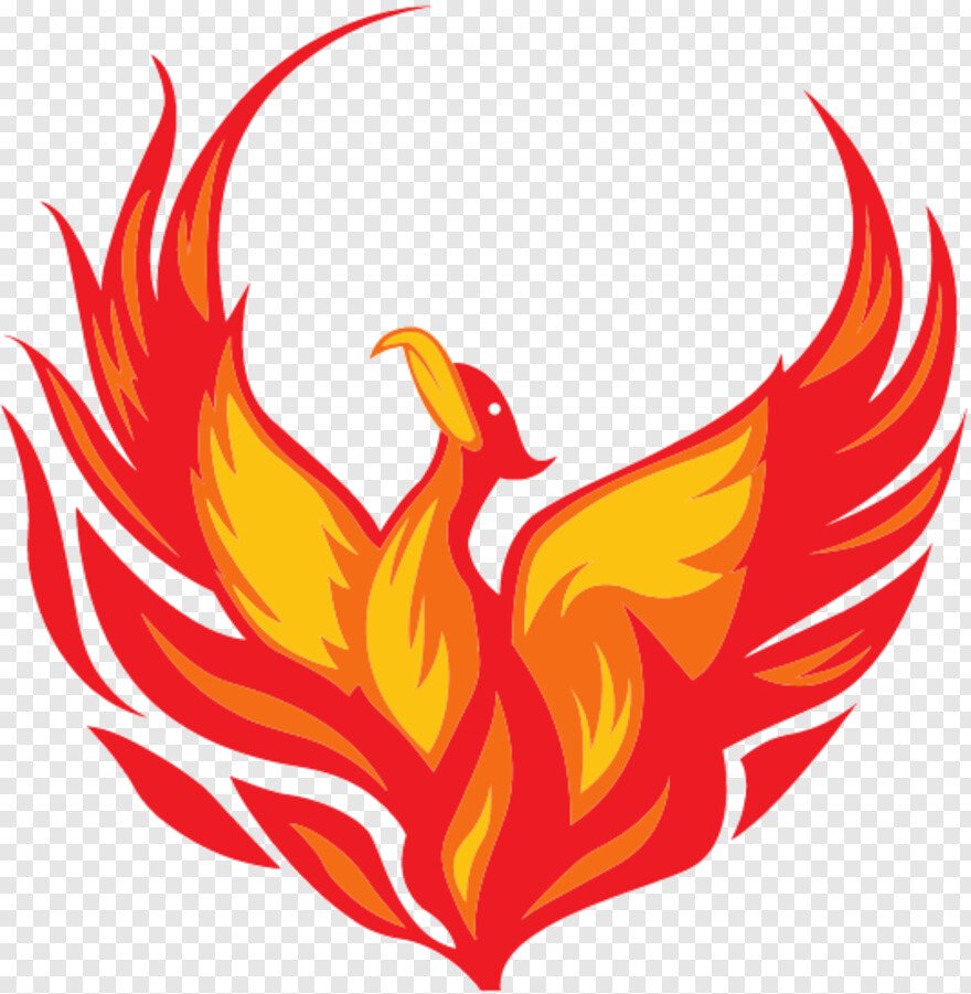 phoenix # 429486