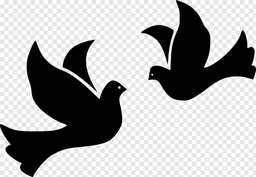 doves-flying # 361355
