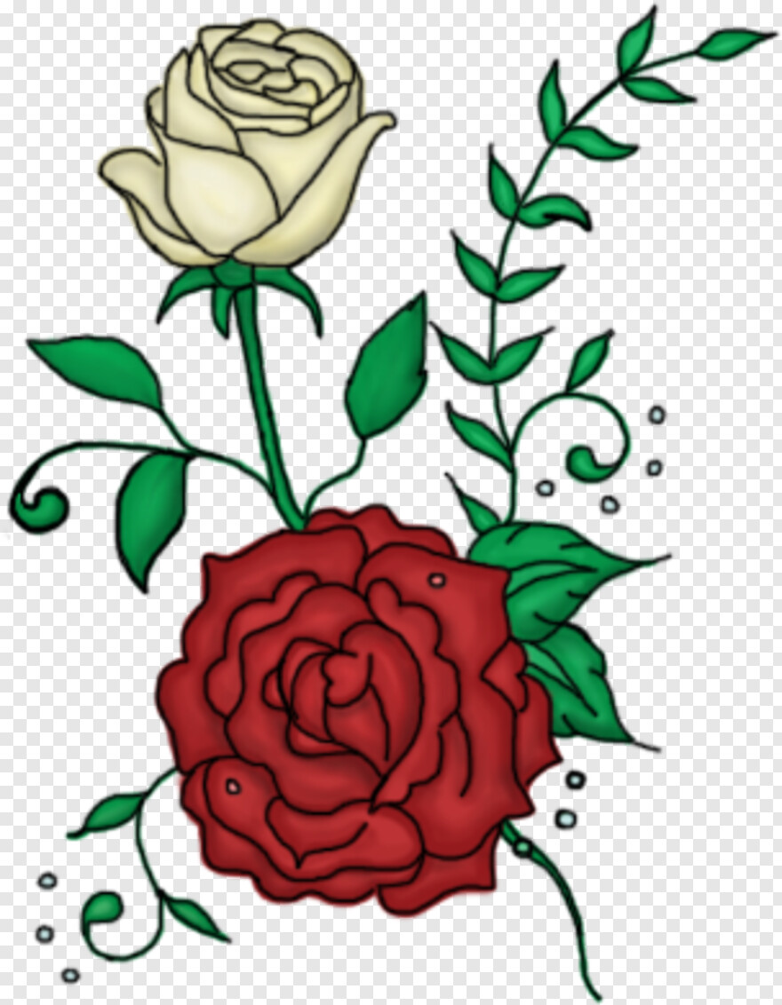 rose-design # 915299