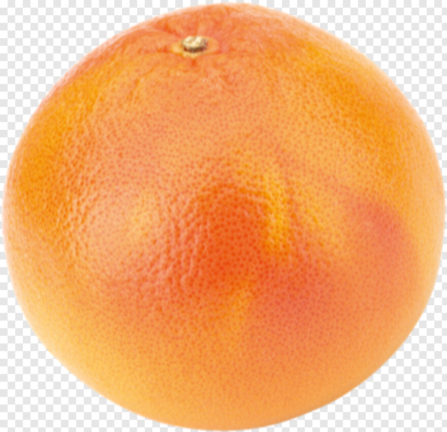grapefruit # 786796