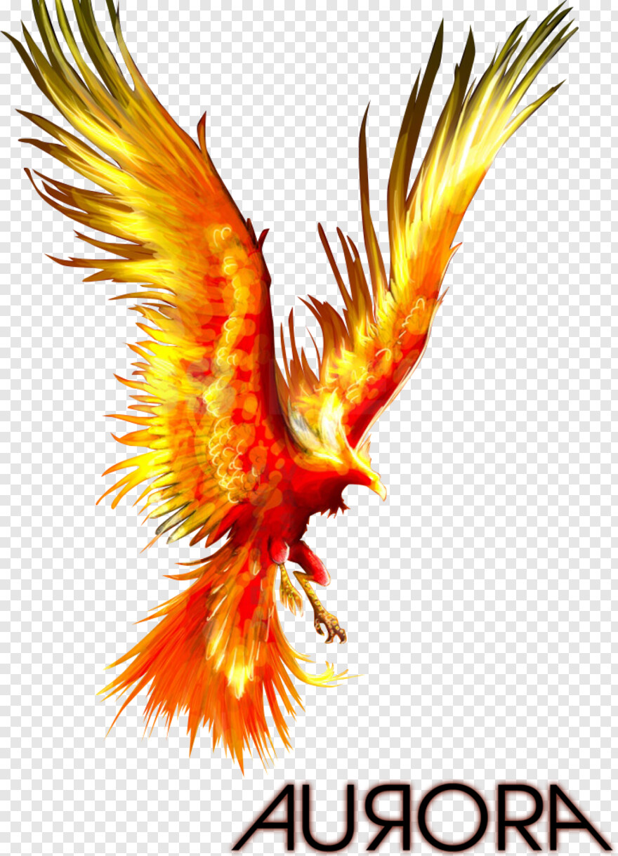 phoenix-icon # 361101