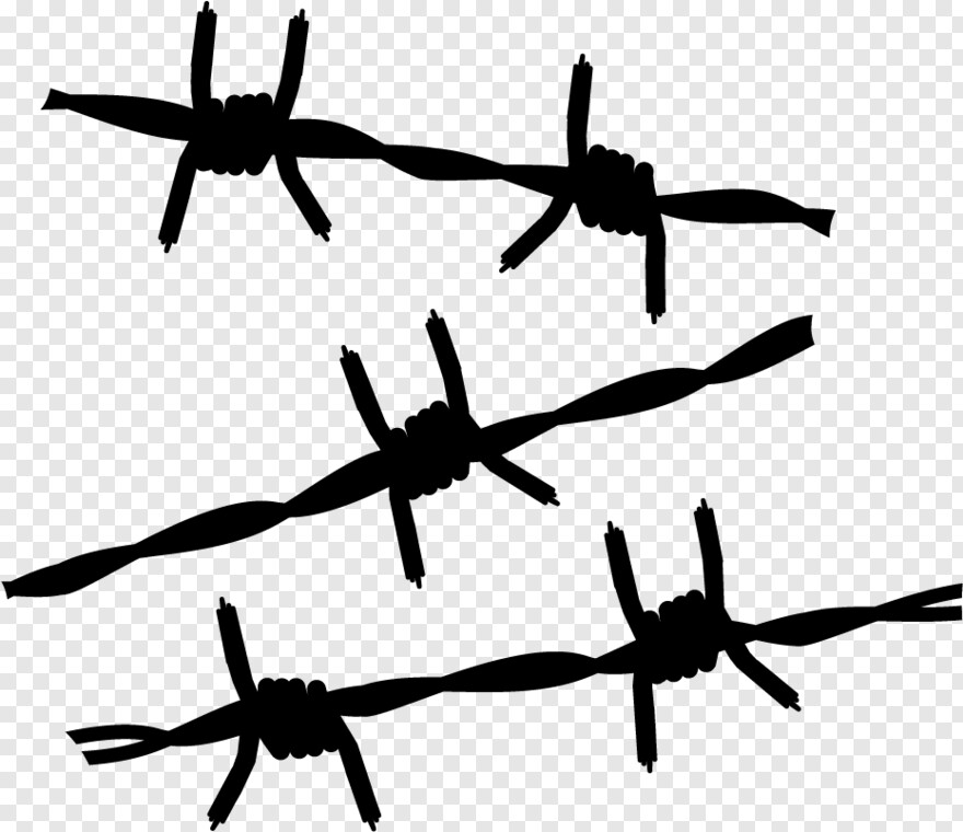 barbed-wire # 404264