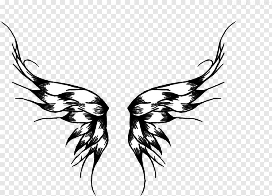 black-angel-wings # 429461