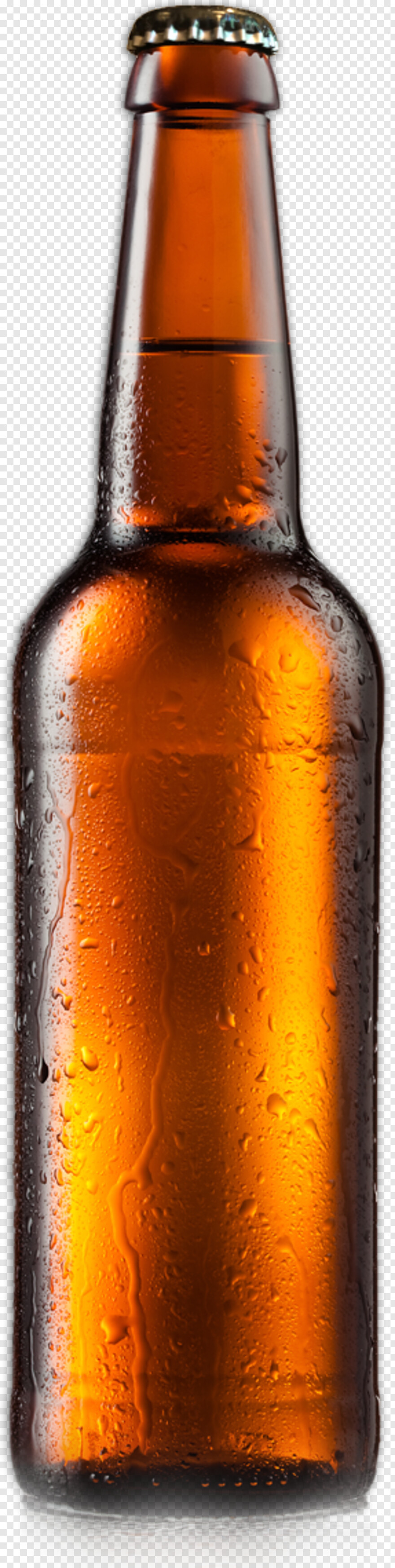 beer-bottle # 381236