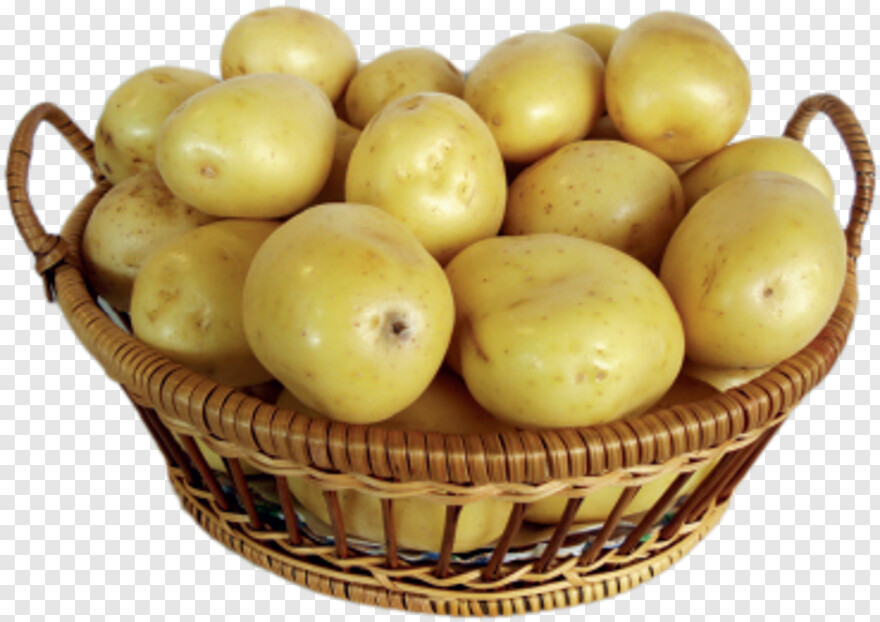 potato # 662629