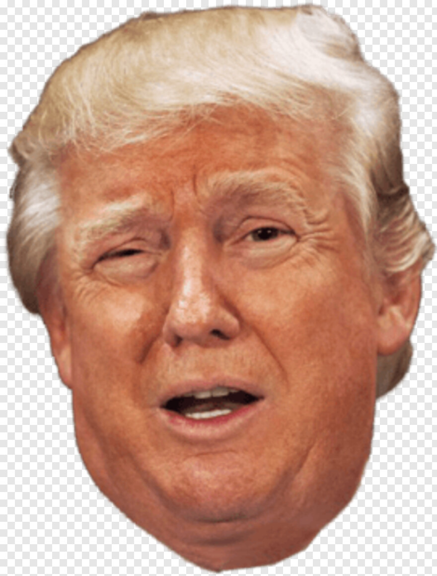  Trump Head, Donald Trump Head, Mickey Mouse Head, Head Silhouette, Cow Head, Mr Potato Head