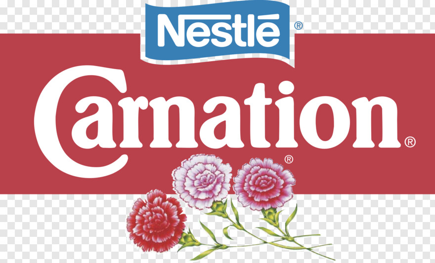 carnation # 534878