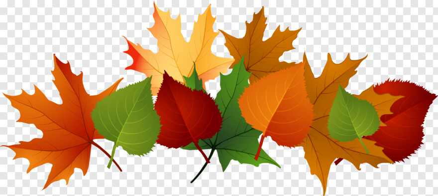 fall-leaves-background # 478727