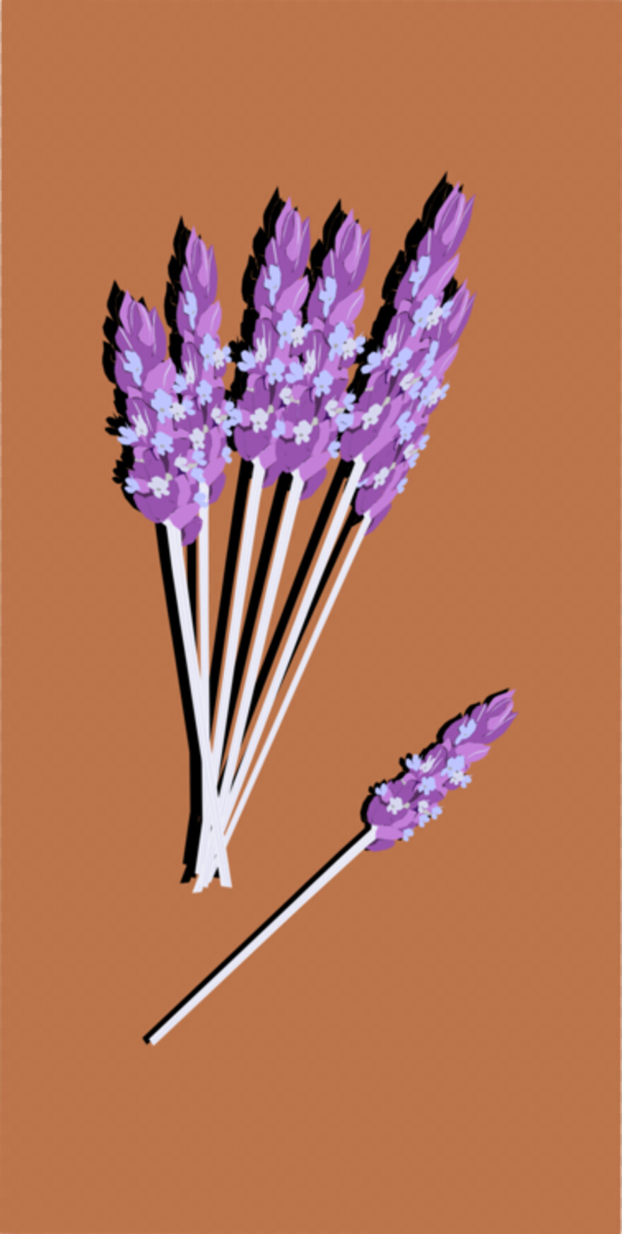 lavender # 969604