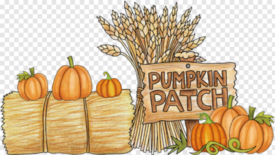 pumpkin-patch # 661410