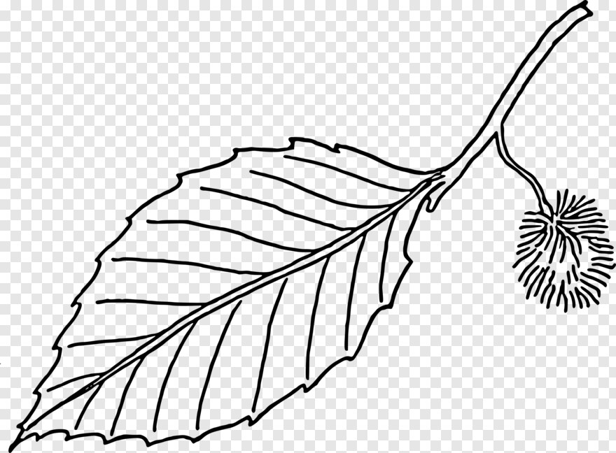 leaf-clipart # 366248