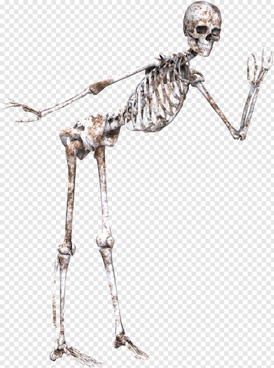 skeleton-arm # 333693