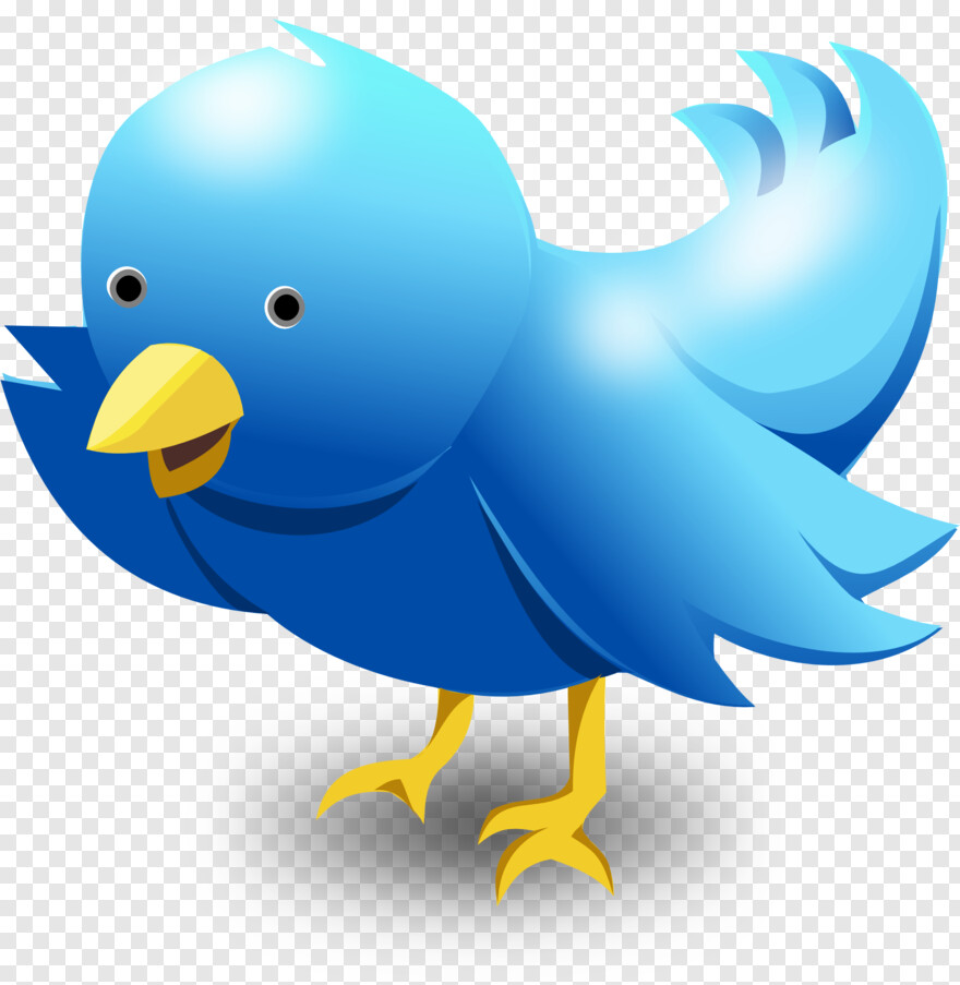 twitter-bird-logo-transparent-background # 429436