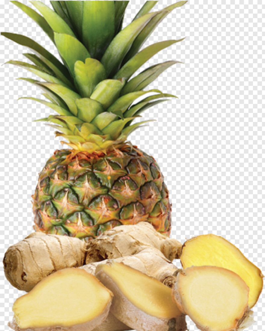 pineapple-clipart # 797679