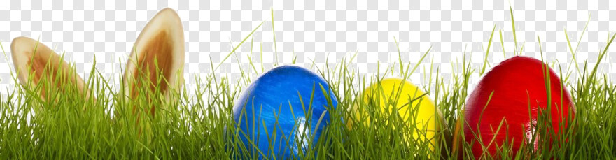 easter-eggs-in-grass # 876086