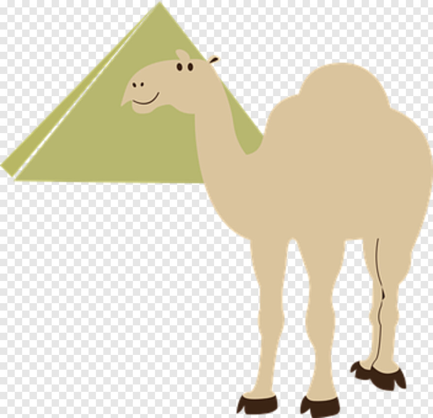  Camel Vector, Black Desert Online, Pyramid Head, Camel, Desert Plant, Desert Tree