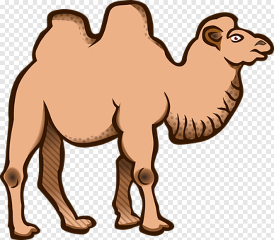 camel-vector # 513876