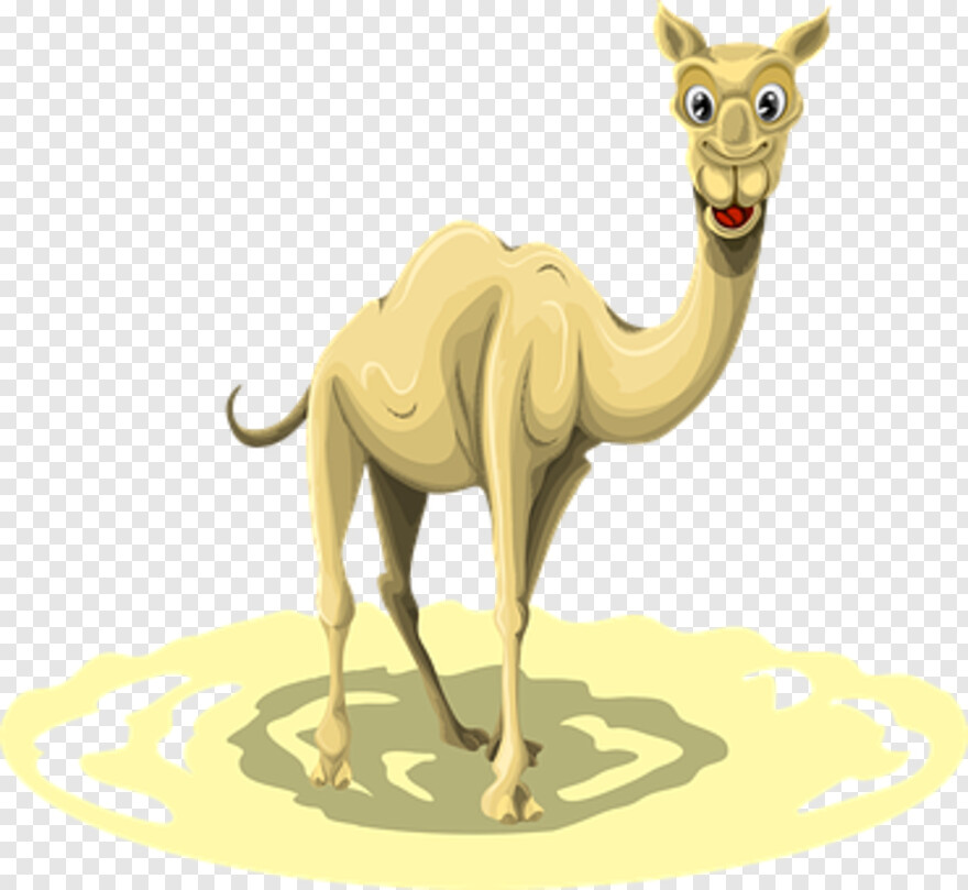 camel-vector # 558731