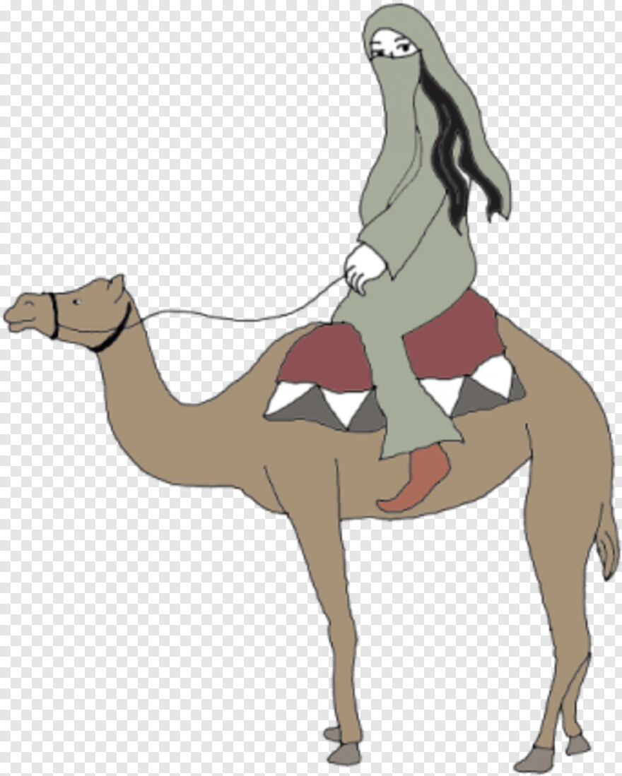  Camel Vector, Camel, Its A Girl, Sexy Girl, Little Girl Silhouette, Girl Hair