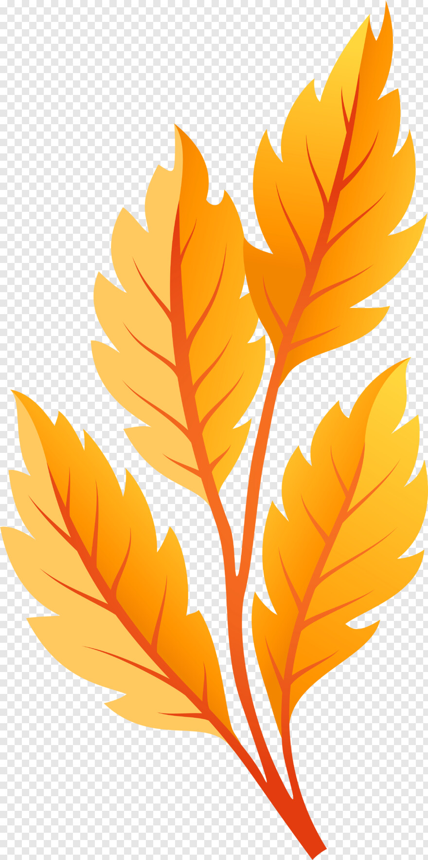 autumn-leaves # 473078