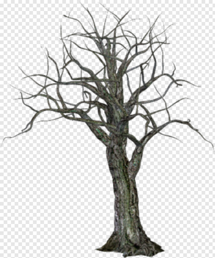 creepy-tree # 461269