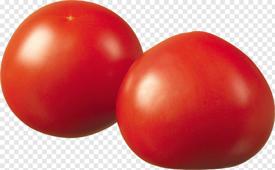 tomato-slice # 601373