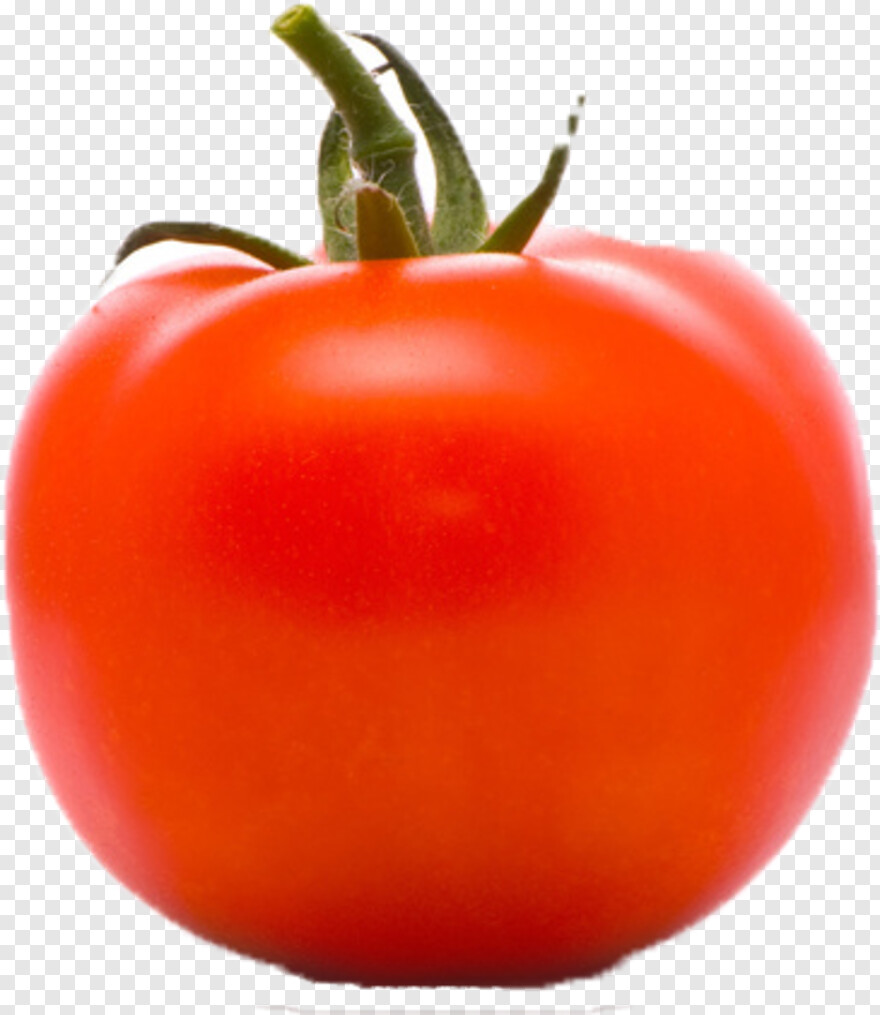 tomato-slice # 601314