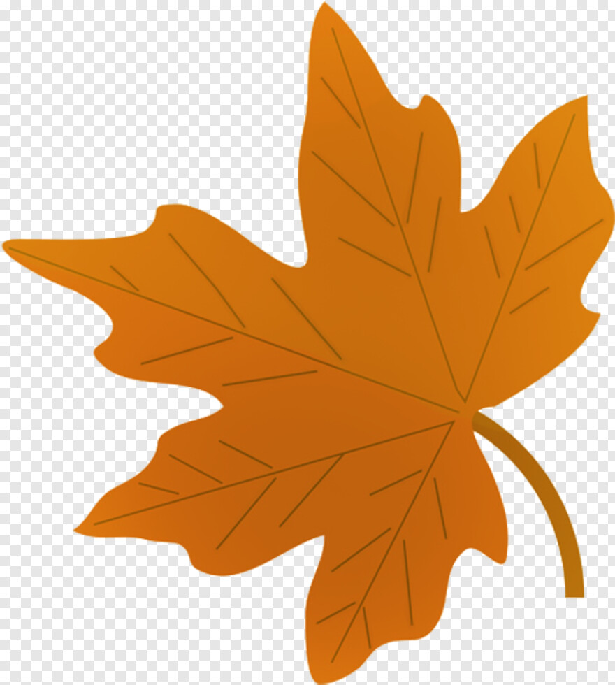 fall-leaf # 847269
