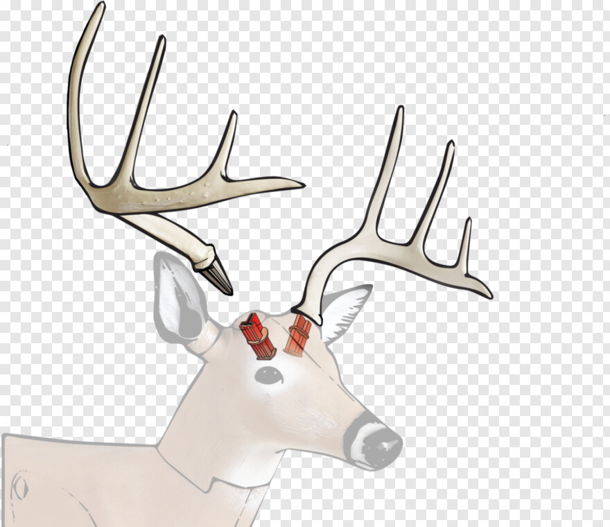 reindeer-antlers # 505542