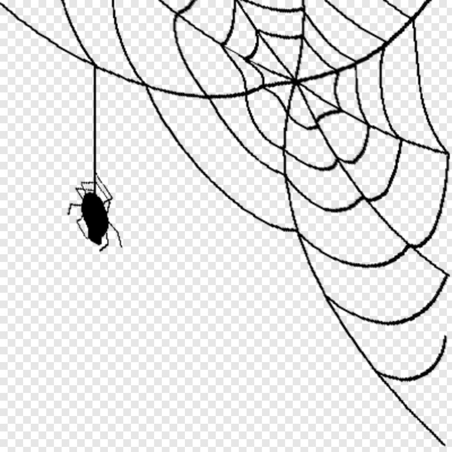 black-widow-spider # 956276