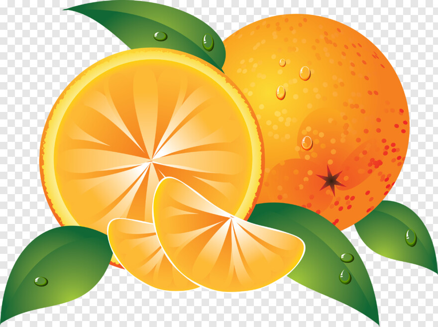 orange-fruit # 371607